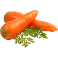 organic carrot