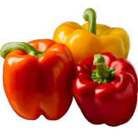 bell pepper