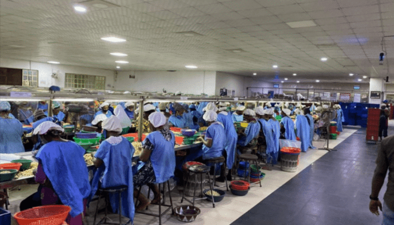 Factory workers in blue uniforms on production line