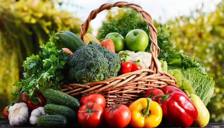Basket of fresh vegetables and fruits outdoors