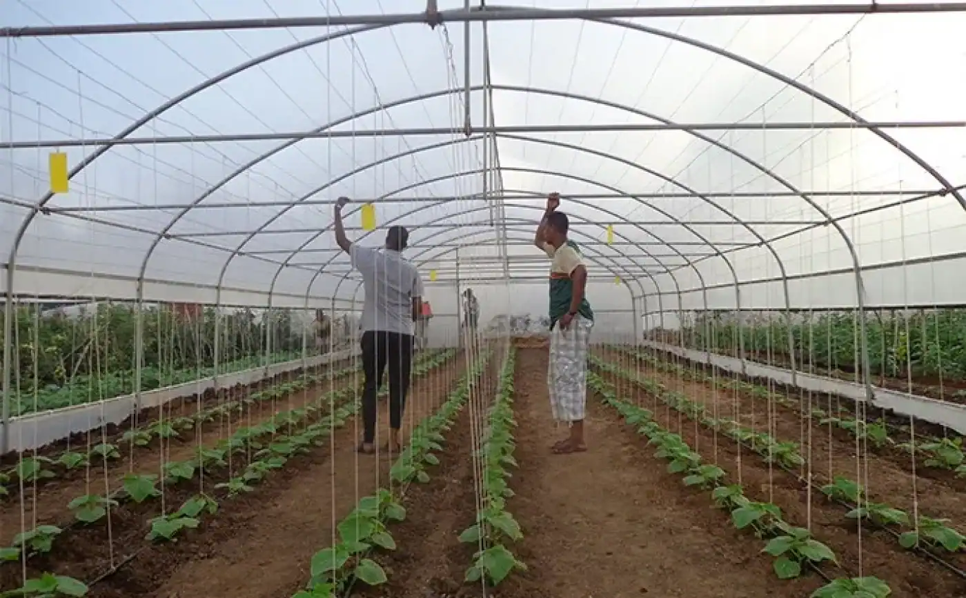 tİka installed training greenhouses in somalia