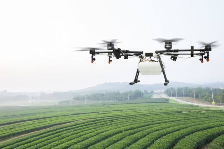 Agricultural drone spraying crops over green fields