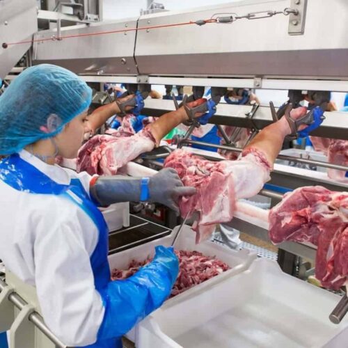 how to invest in meat processing, packaging business