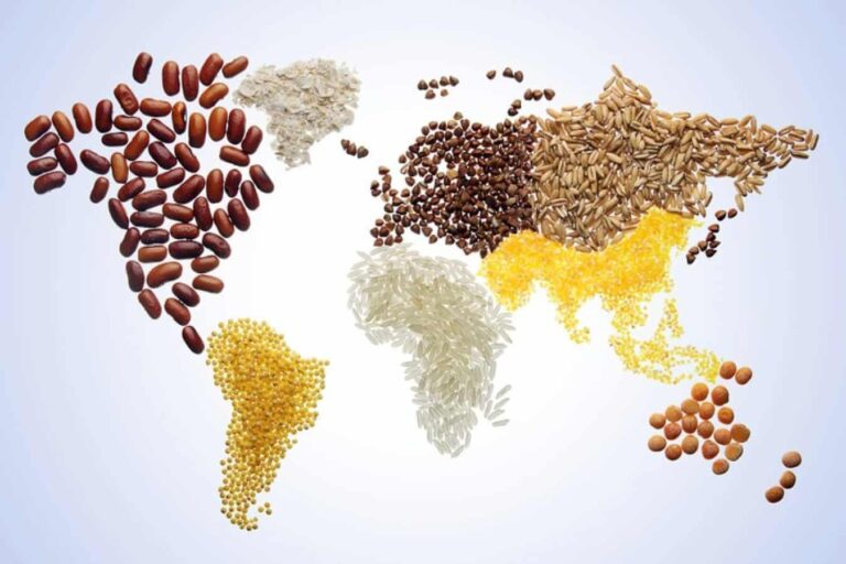 World map made from assorted grains and pulses