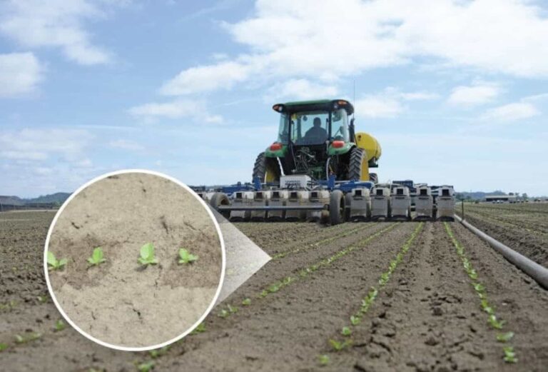 Tractor planting seedlings in cultivated field