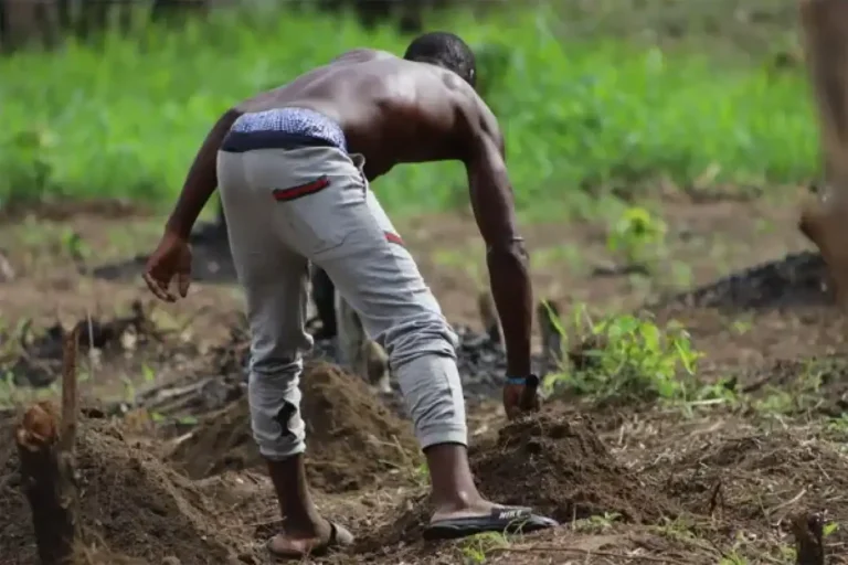 Shirtless man tending soil in rural field