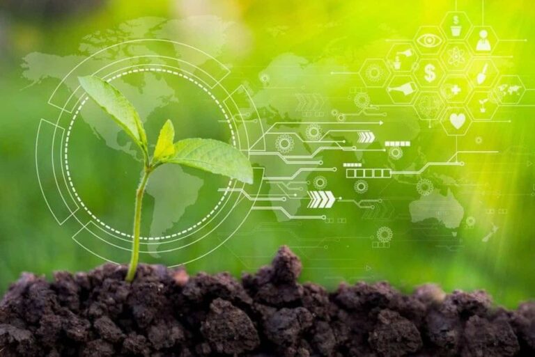 Seedling in soil with digital sustainability interface overlay