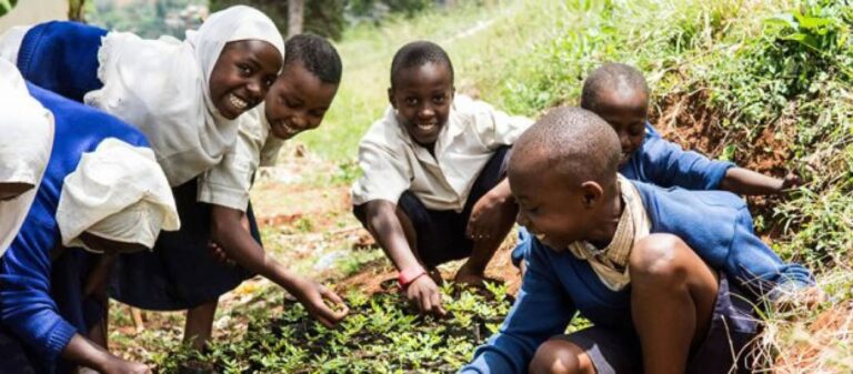 Schoolchildren planting seedlings together in garden