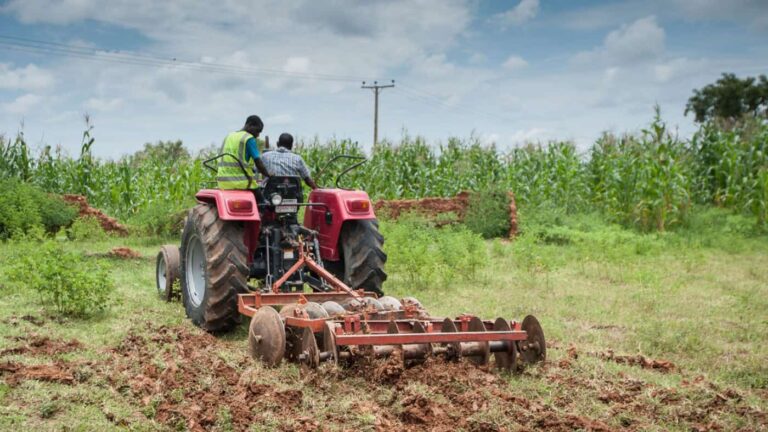 Two farmers ploughing field with red tractor