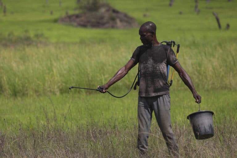 Farmer spraying crops with backpack sprayer in field