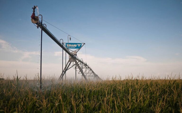 Centre pivot irrigation watering maize field