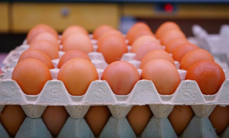 Tray of brown eggs in cardboard carton