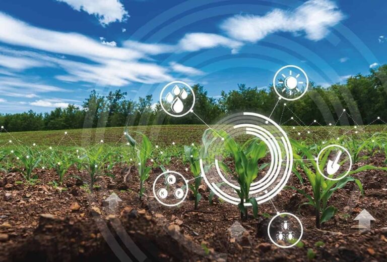 Smart farming technology over young crop field