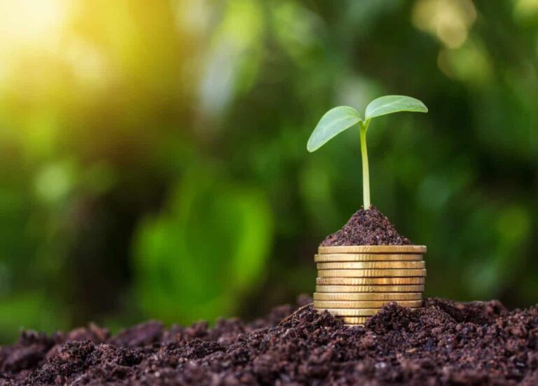 Seedling growing from coins in soil