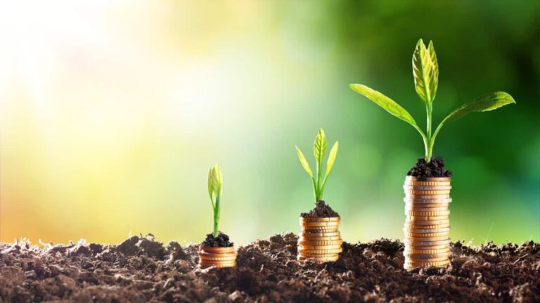 Seedlings growing from stacked coins symbolising financial growth