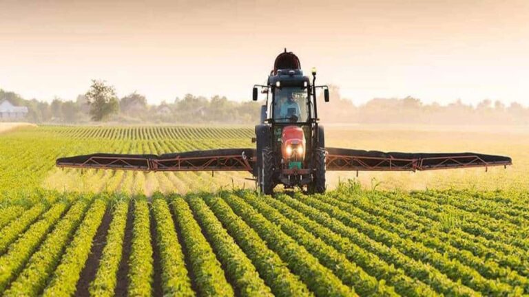 Tractor spraying crops across green field at sunrise