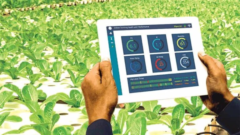 Tablet showing indoor farming dashboard over lettuce crops