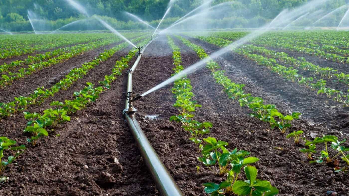 kano to renovate watari irrigation dam