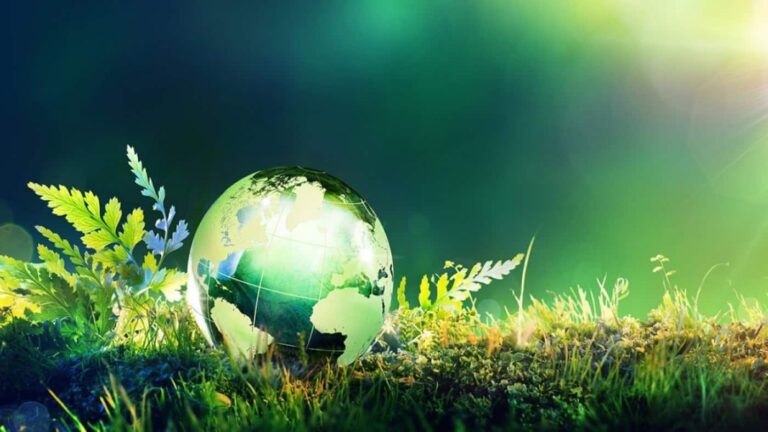 Glass globe on grass symbolising environmental sustainability