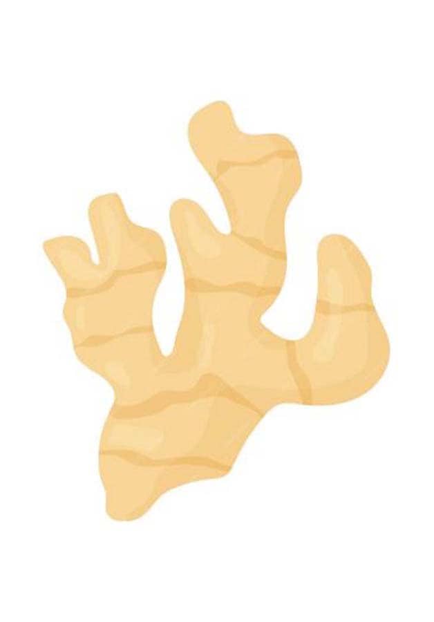 Premier%20Agro%20Exports%20Nigeria%20|%20Quality%20Agricultural%20Produce%20for%20Global%20Markets