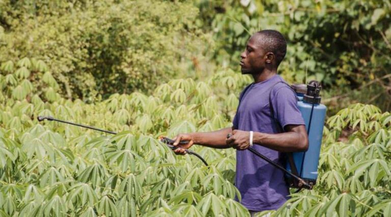 Farmer spraying crops with backpack sprayer in field