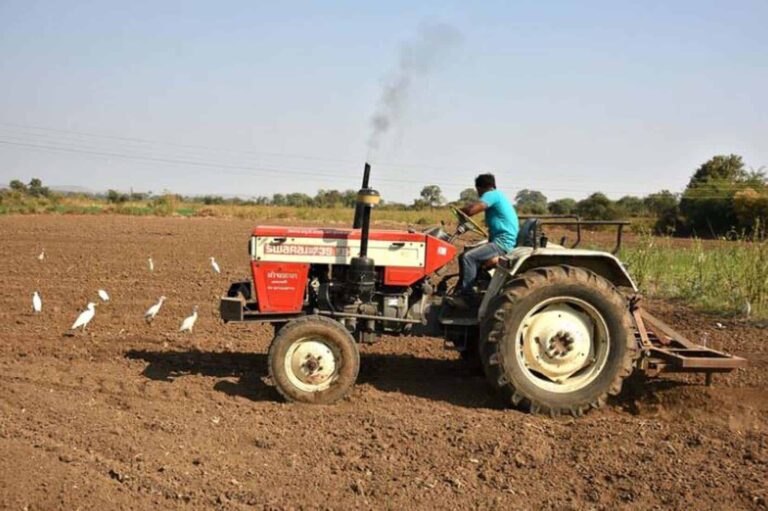 Farmer driving red tractor ploughing field with birds