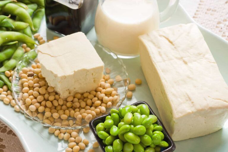 Tofu, soybeans, edamame and soy milk on plate