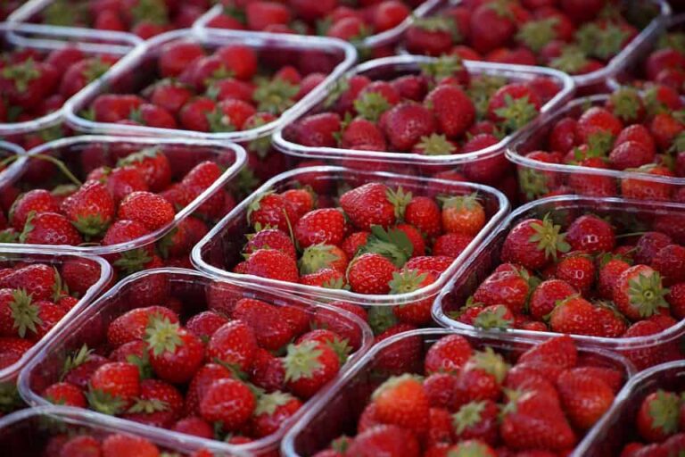 Punnets of fresh strawberries at market stall