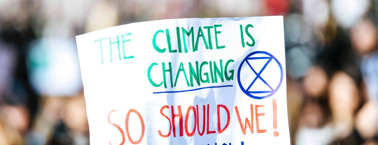 unlocking opportunities the untapped potential of african foods in europe