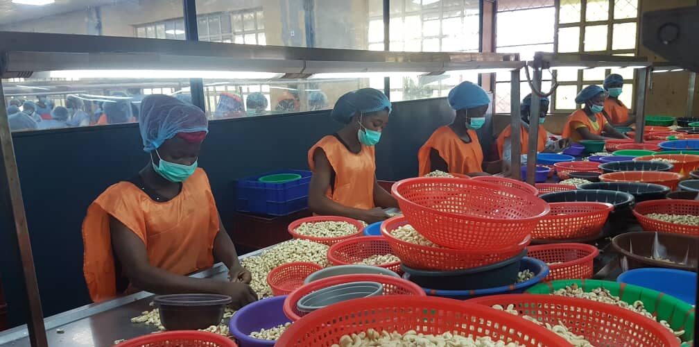 best export practices nigerian standards guaranteed