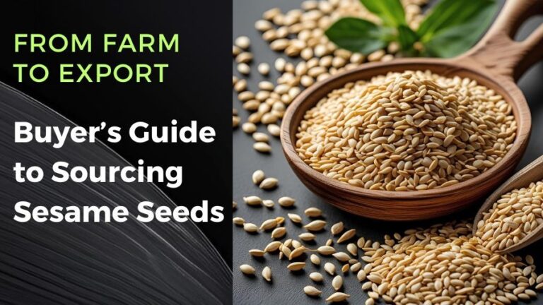 Sesame seeds in wooden bowls, sourcing guide banner