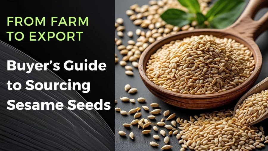 bulk sesame seed suppliers nigeria origin