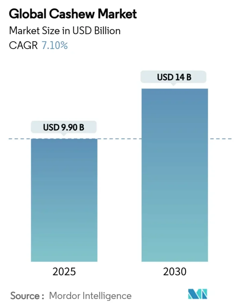 Global cashew market growth from 2025 to 2030