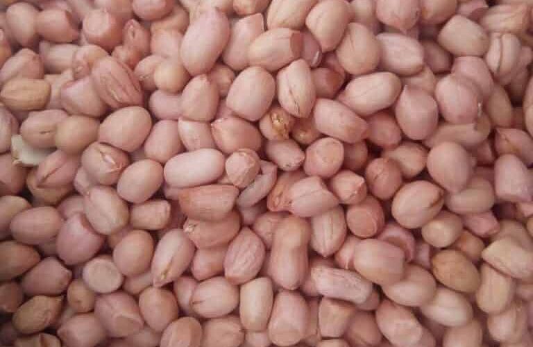 groundnuts export nigeria reliable supply chain