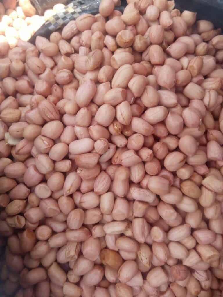 groundnuts export nigeria reliable supply chain
