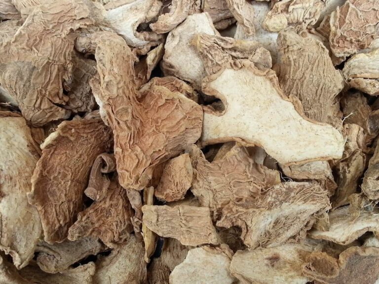 Dried ginger root pieces close up