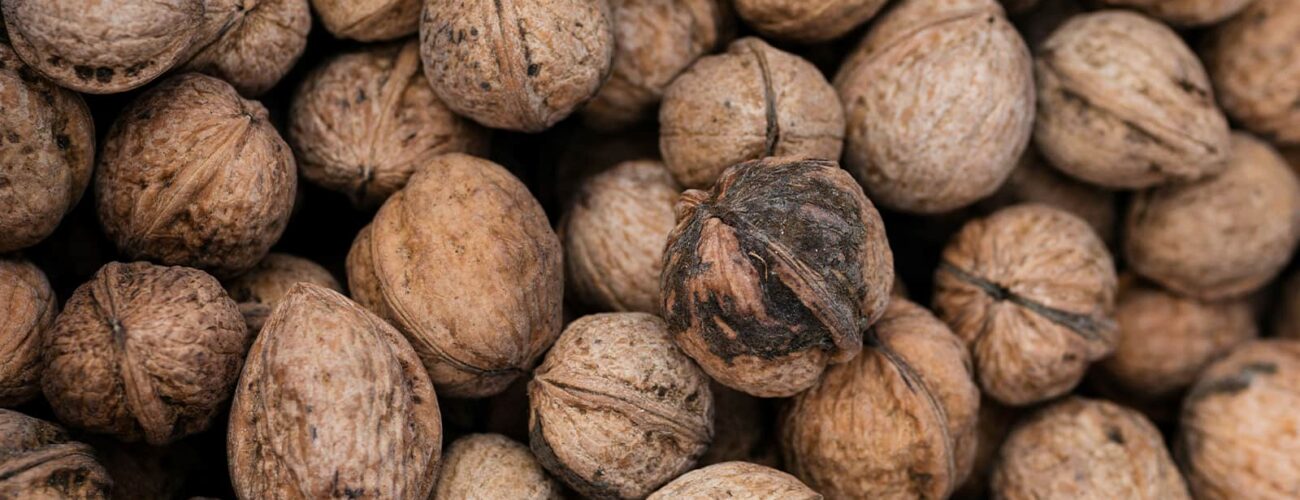 natural cocoa butter export nigerian skincare ingredient