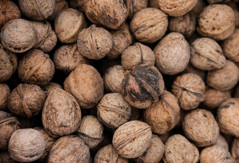 Close-up of whole walnuts in shells
