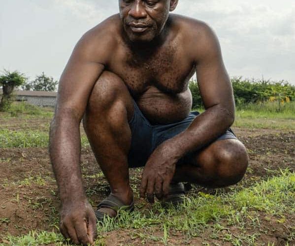 nigerias finest leather export global quality