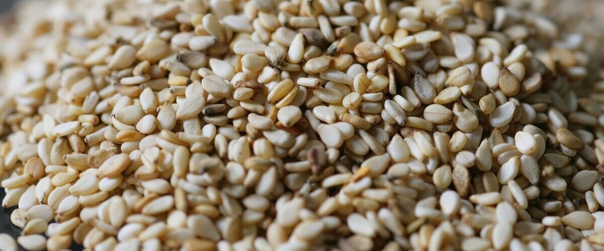 premium quality sesame oil export nigeria