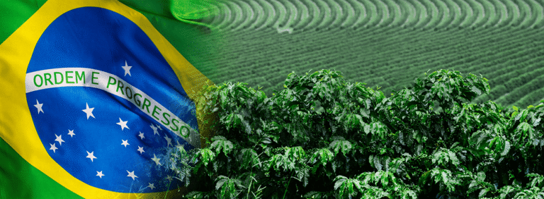 Brazilian flag over lush green agricultural plantation fields
