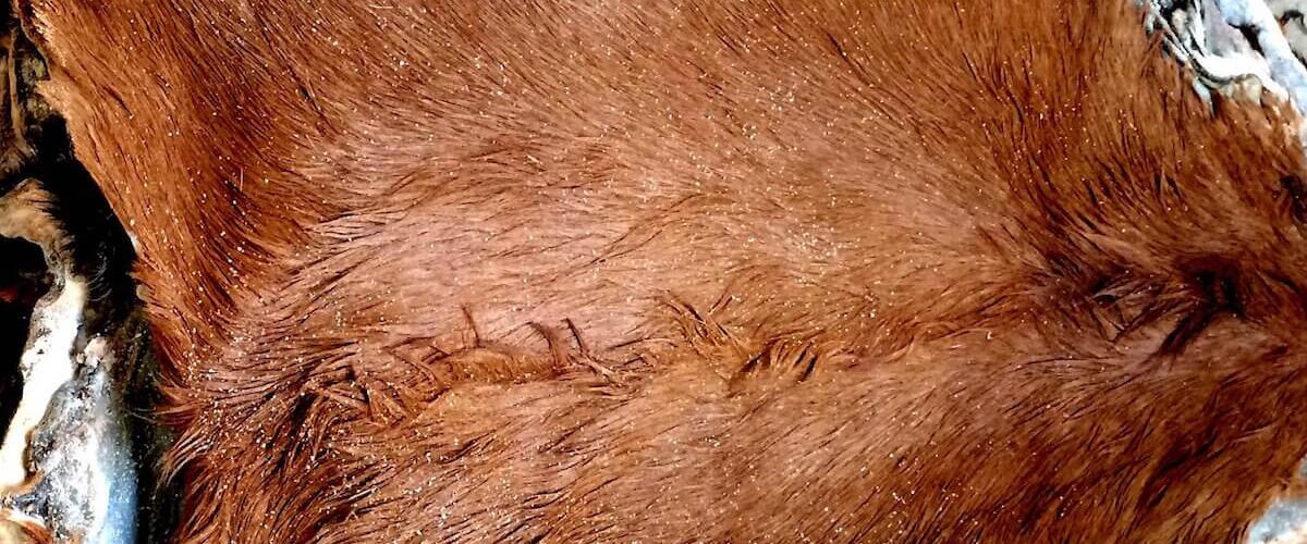 top quality finished goods export nigeria