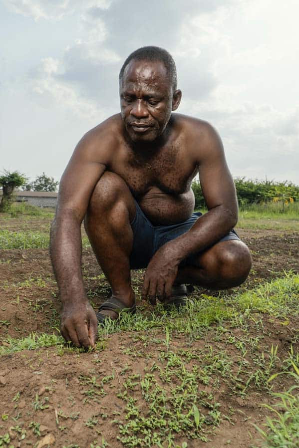 Man tending young plants in rural field
