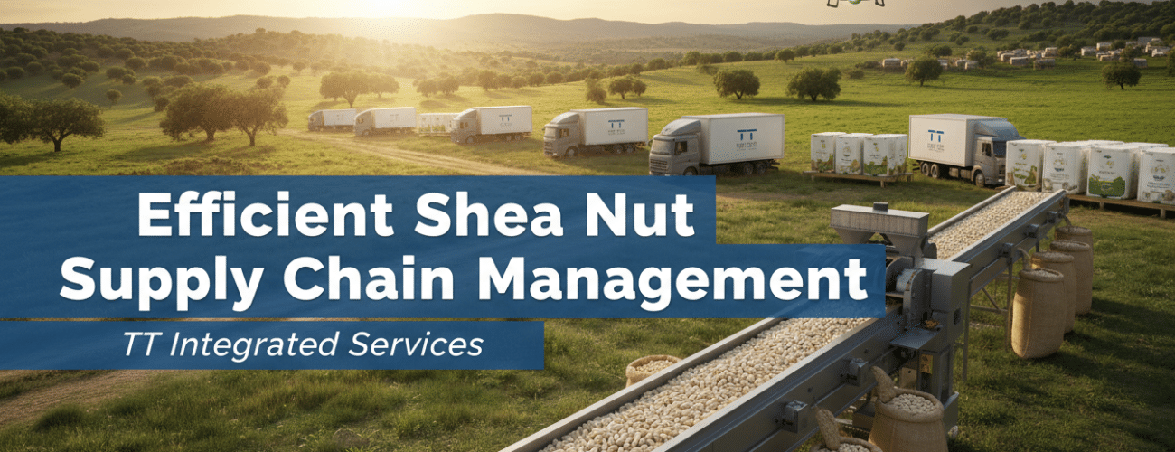 efficient shea nut supply chain management by tt integrated services