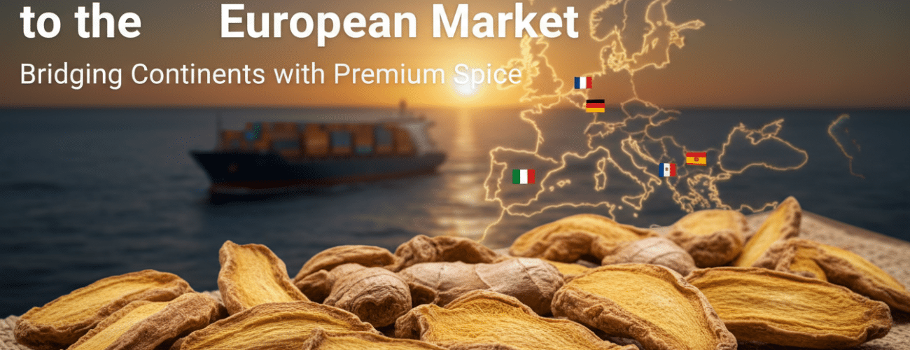 exporting quality dried split ginger to the european market