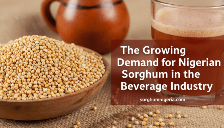 Bowl of sorghum grains and glass of beer