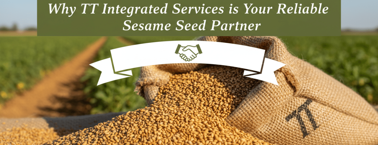 why tt integrated services is your reliable sesame seed partner